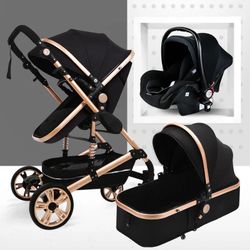 3&1 Stroller