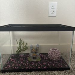 5 Gallon Fish Tank With Gravel And Decor 