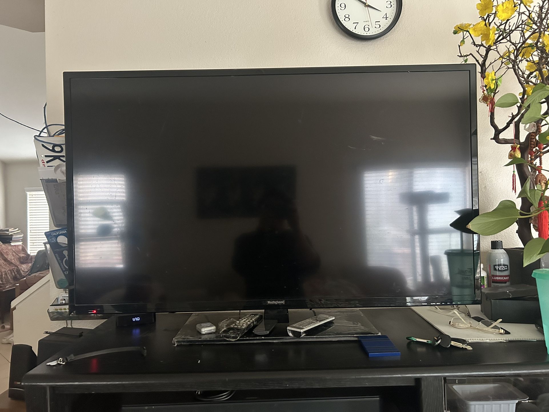 Westinghouse 48 Inch Tv