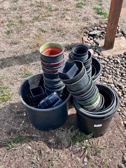 Free gardening pots