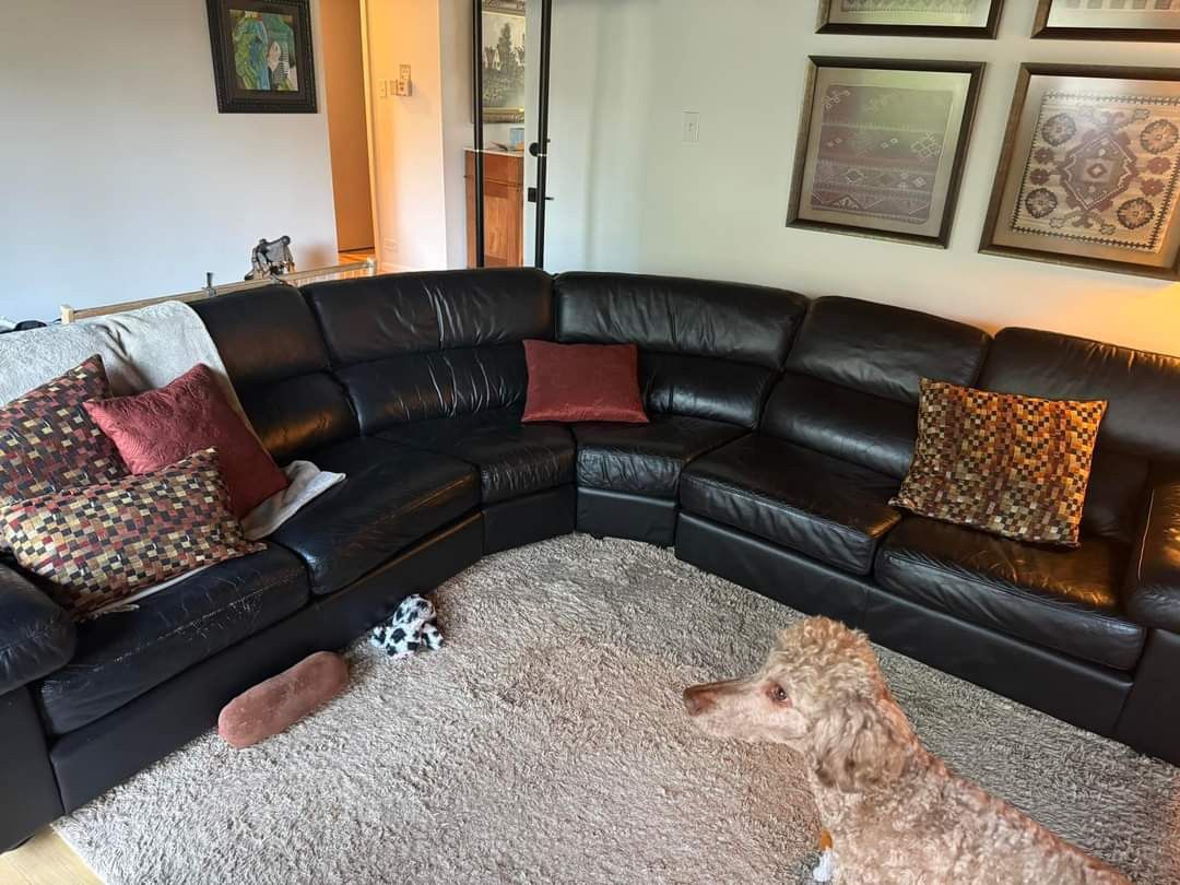 MOTHERS DAY SPECIAL ‼️ 3 piece leather sectional and chair for sale $300 with delivery in south suburbs