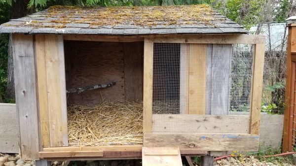 Chicken Coop For Sale In Shelton Wa Offerup