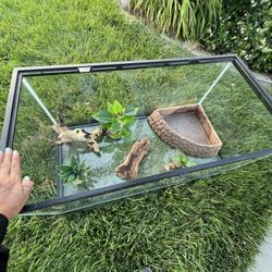 Reptile Aquarium, turtle, tortoise, lizard tank