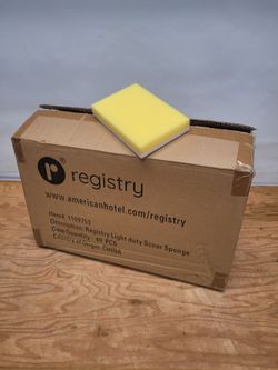 Case of scrubber sponges 40 per case
