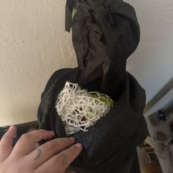 Golf Net 