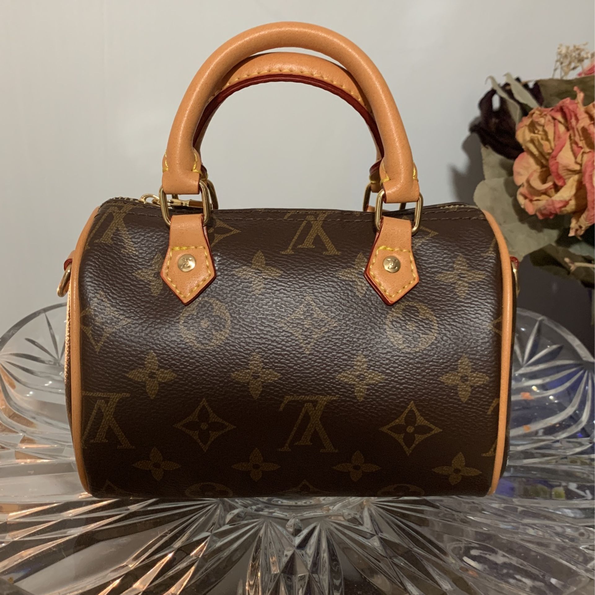 Louis Vuitton Mini Purse