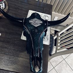 Harley Davidson, Cow Skull Painted And Decorated Mint Condition Huge Skull