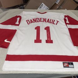 Auto Matthew Dandeneau Nike Detroit Red Wings Jersey Men Large Vksm Sewn Clean