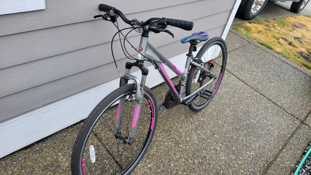 Adults Bike. SCHWIN