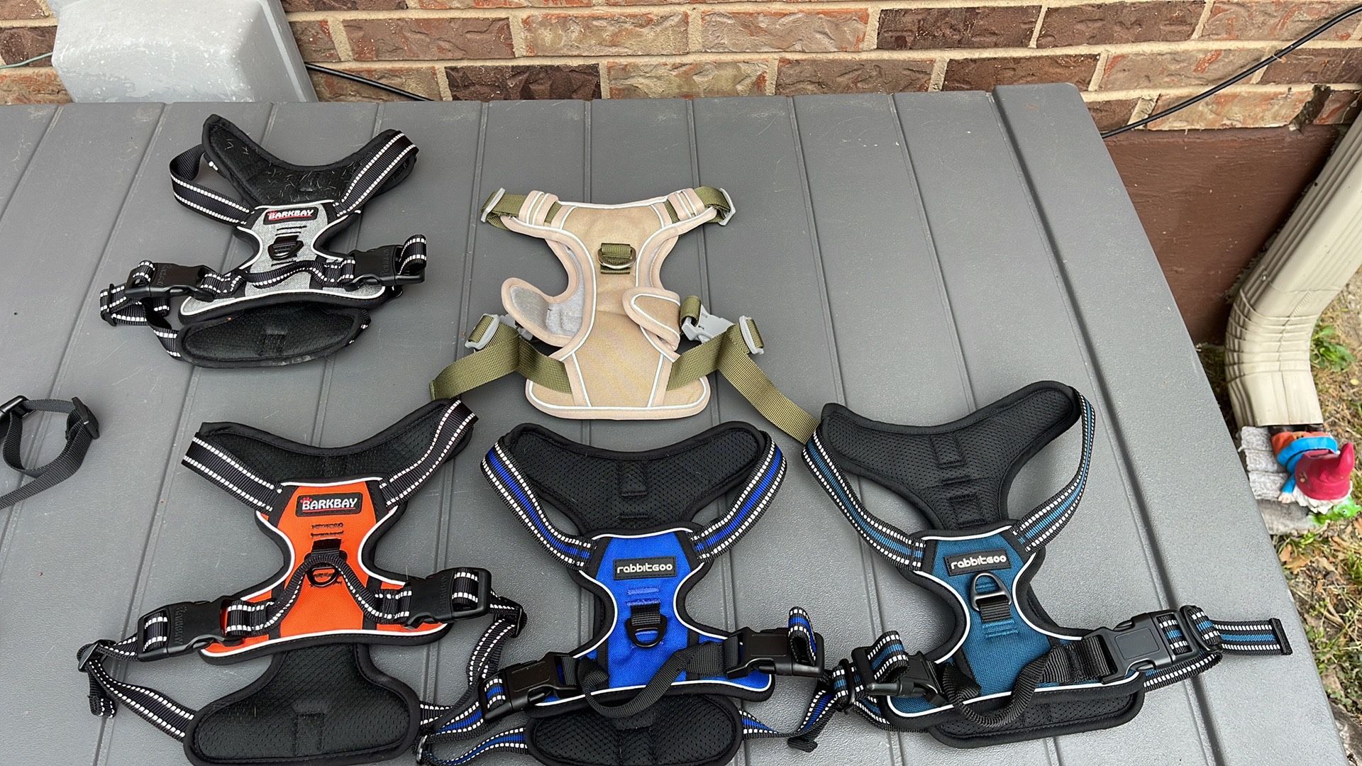 Medium dog harness $15 each