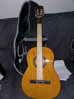 Guitar Stagg
