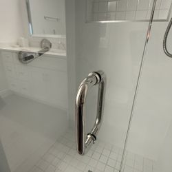 Shower Door