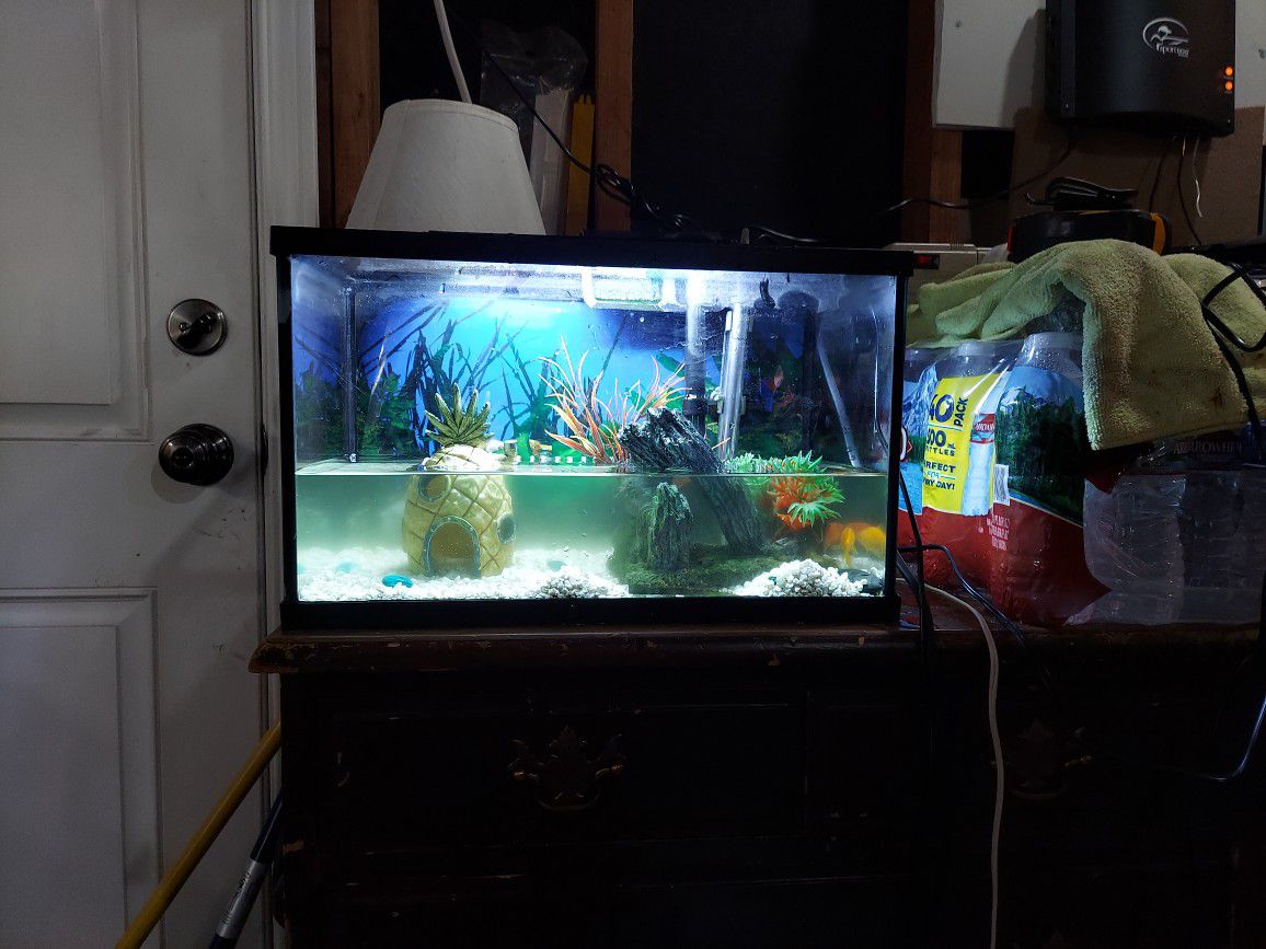 5 gal Topfin Fish tank with LED light