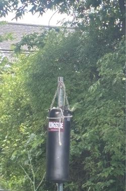 Punching bag