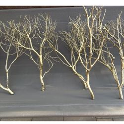 Real Wood Branches