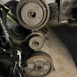 Weights And Bench For Sale