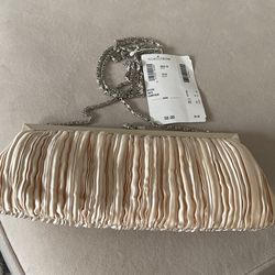 Small Somewhat Formal Hand Bag.