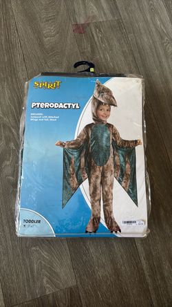 Boys dinosaur costume