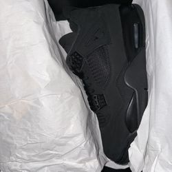 Jordan 4 Retro Black Cats (2025)
