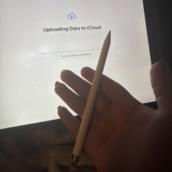 Ipad + apple pen