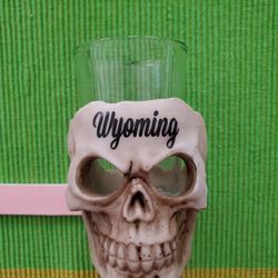 Skull Shot Glass Wyoming Gift Barware Gift 
