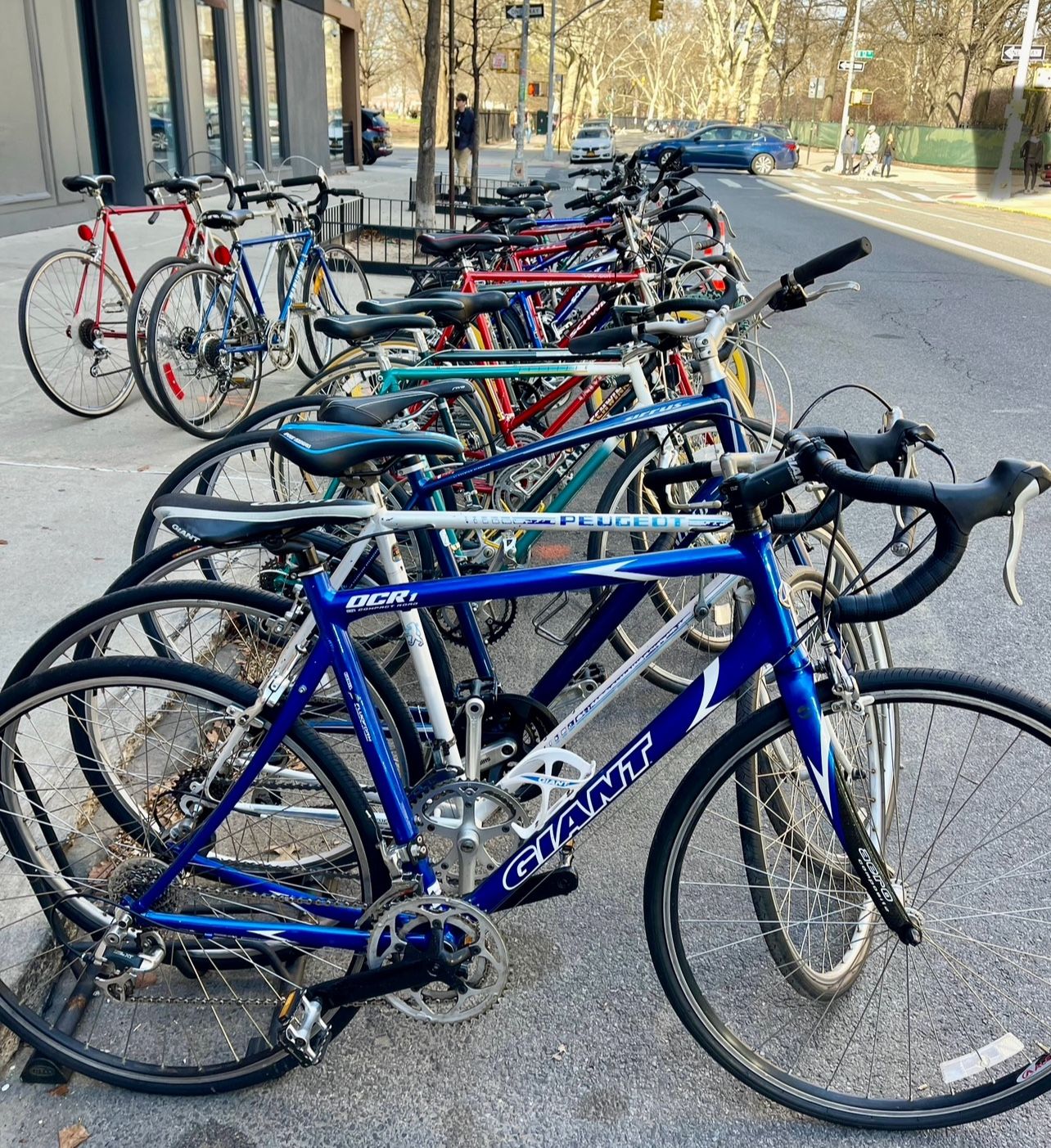 Bicycles Road Bikes  Saturday Sunday Williamsburg Brkln 225-525 