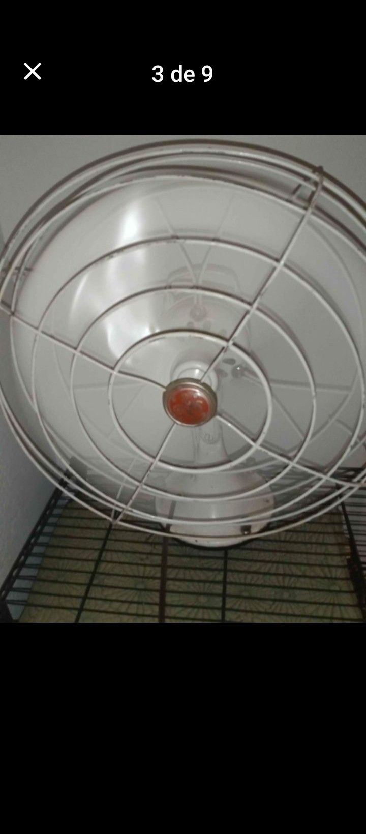 Vintage Fan Both. $ 150