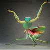 Y. Quidper
