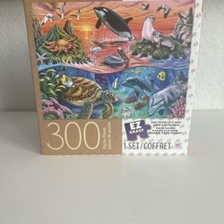 Puzzle 300, New