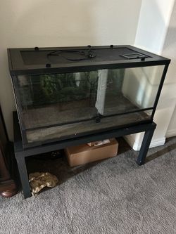 Big reptile tank
