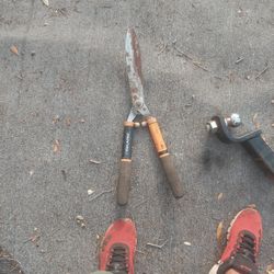 Tijera Para Apodar Plantas En El Jardin 