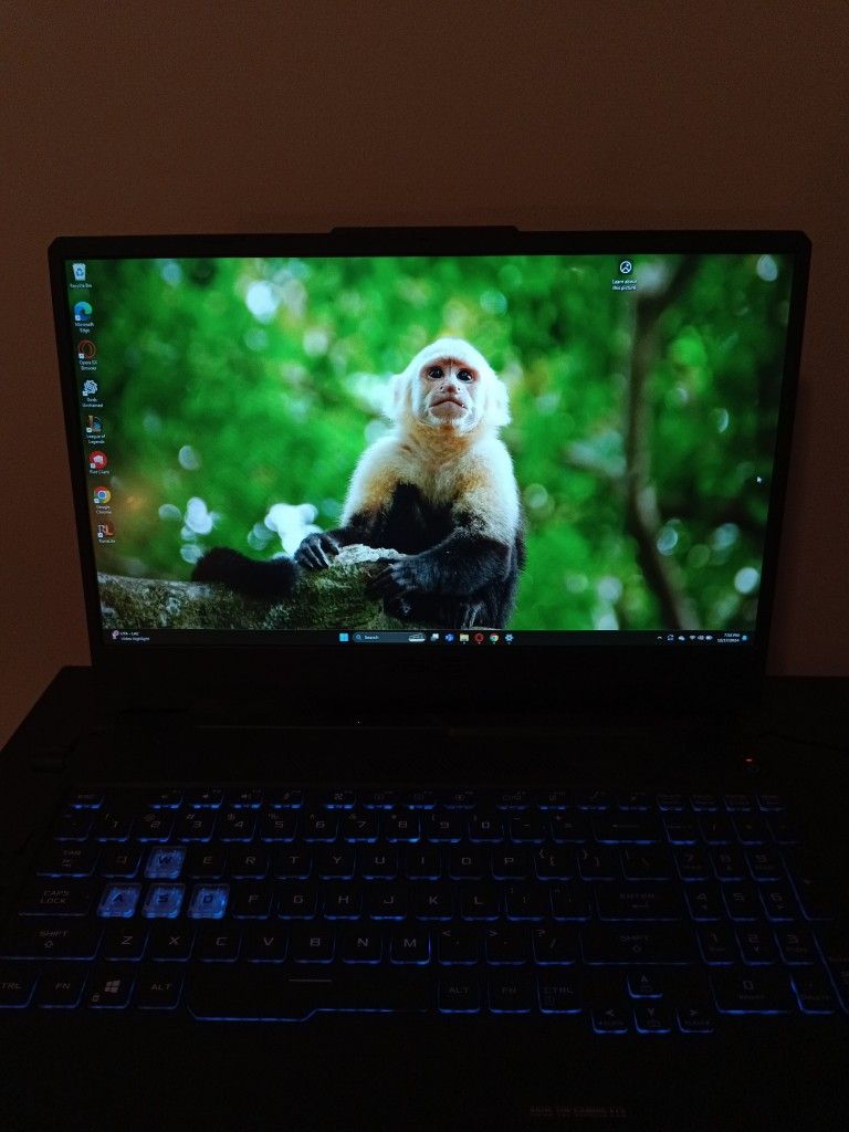 Laptop gamer