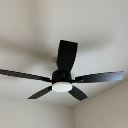 Black Working Semi New Fans 