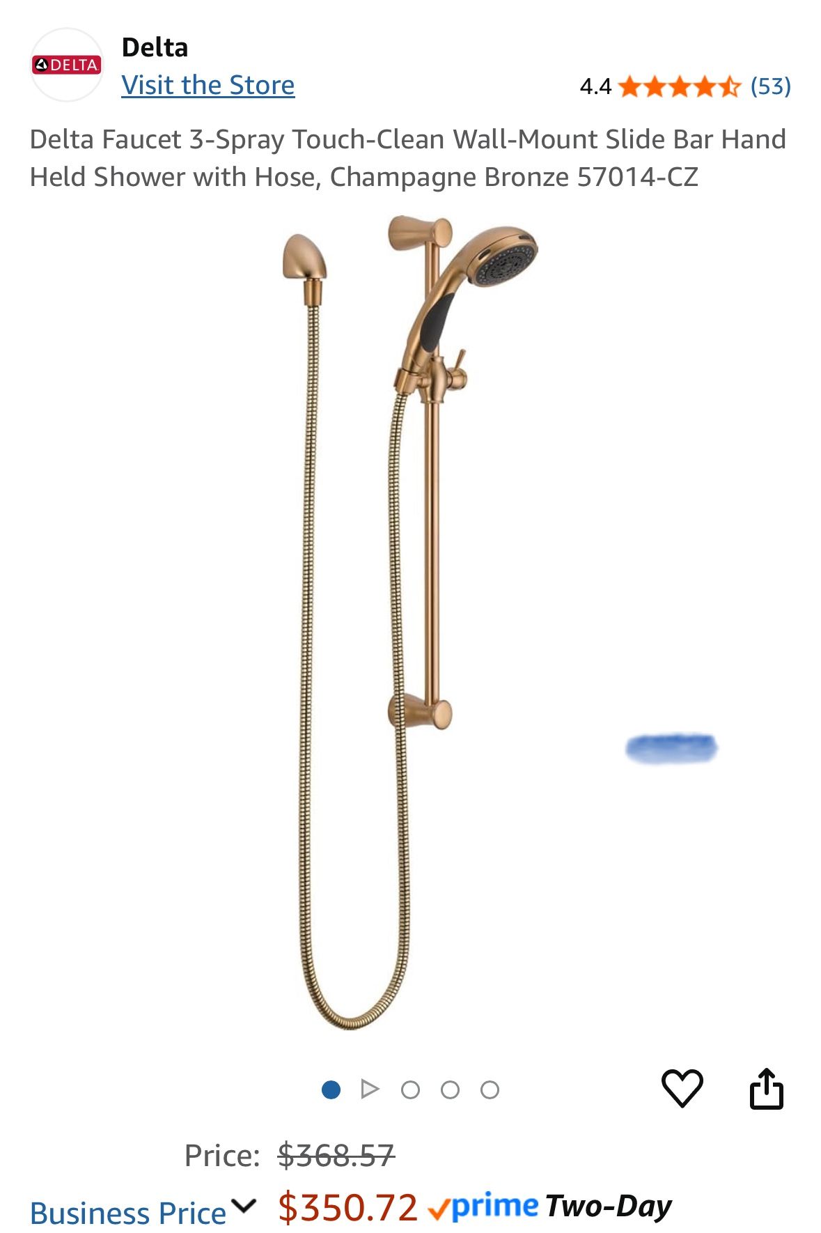 Delta Adjustable Shower