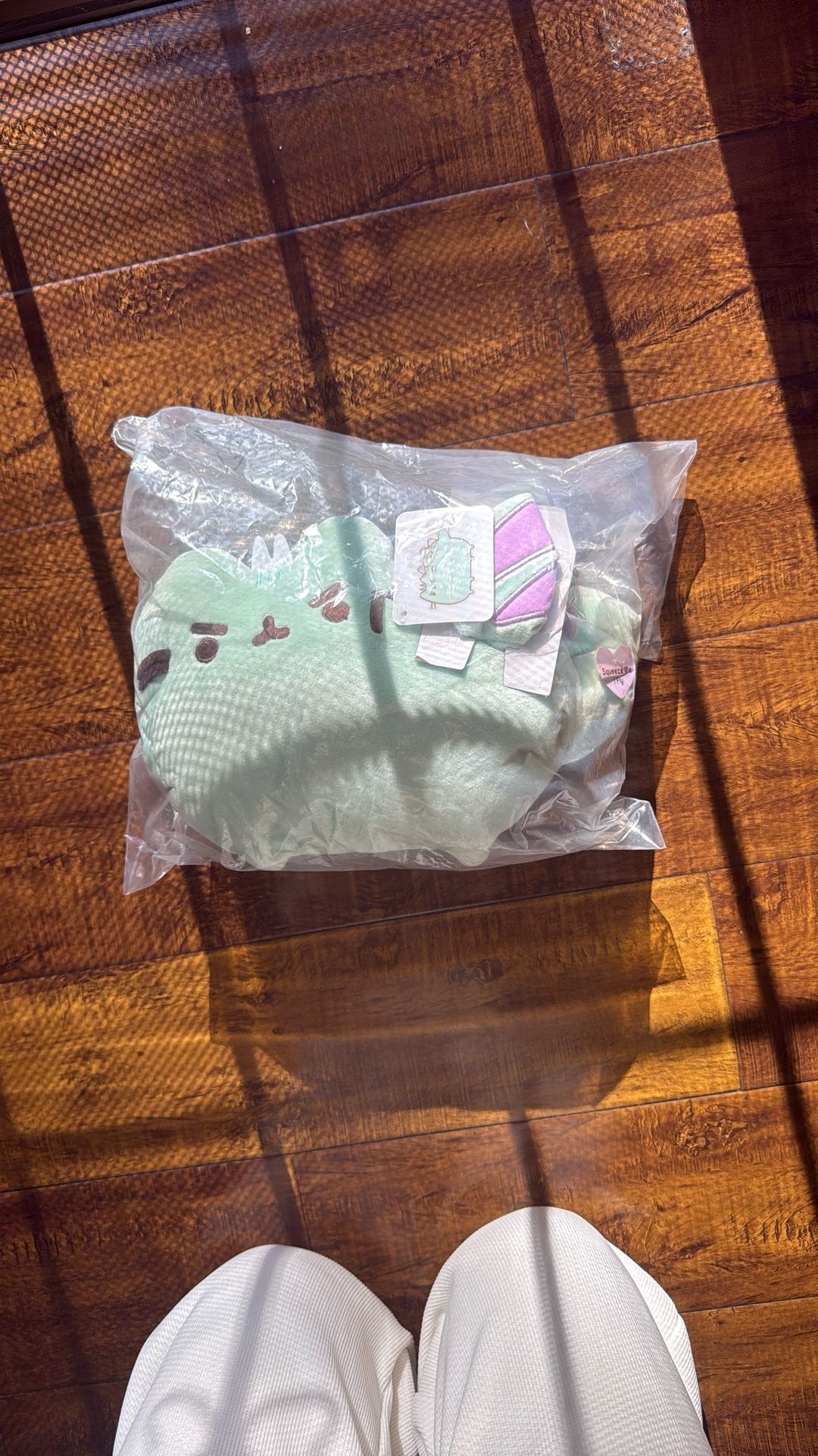 Pusheen Cat Squeeze Me I Fly