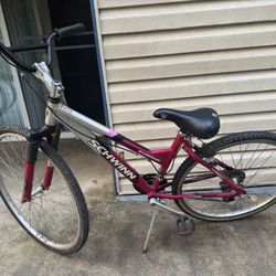 Schwinn Woman’s Bike 