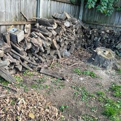 Fire Wood Free FREE FREE