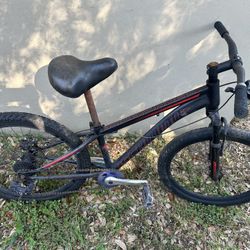 Schwinn Sidewinder Bike Bicycle 