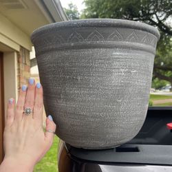 Flower Pot