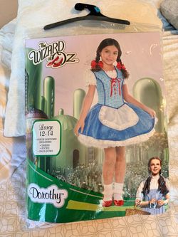 Girls Dorothy costume size 12/14 ♥️