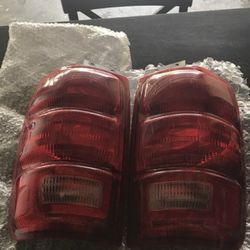 Expedition Taillights