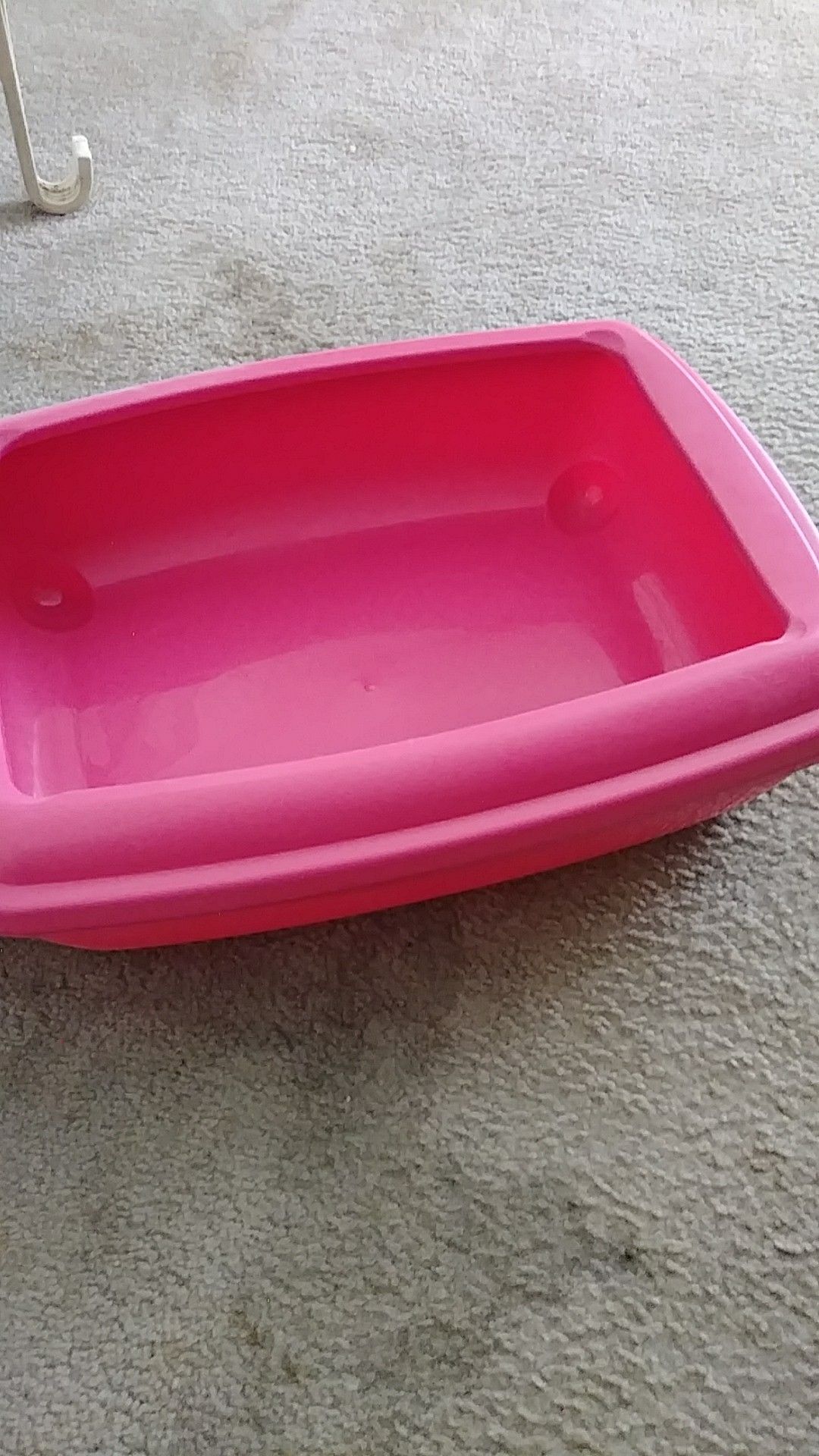 Kitty litter box