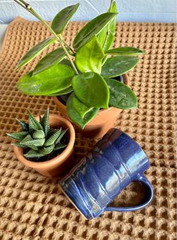 8-oz Hand Thrown Blue Wavy Pottery Mug
