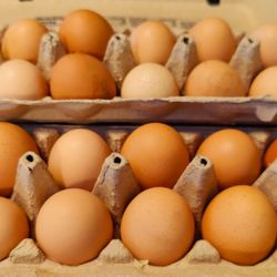 Organic chicken eggs