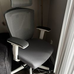 Autonomous ErgoChair Pro - Professional 