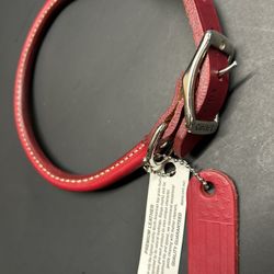 Dog Collar 18”