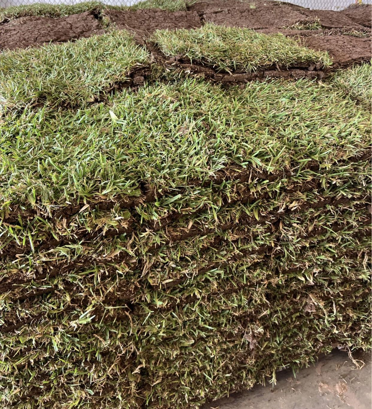 Grass Sod For Sale