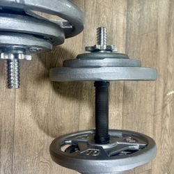 Beautiful Set of Standard Adjustable Dumbbells With 10s, 5s And 2.5s Pounds Weight Plates  (80 lbs.)