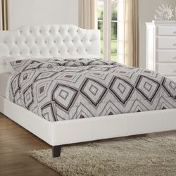 Brand New White Queen Bed ( Mattress Sold Separately )