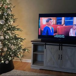 TV